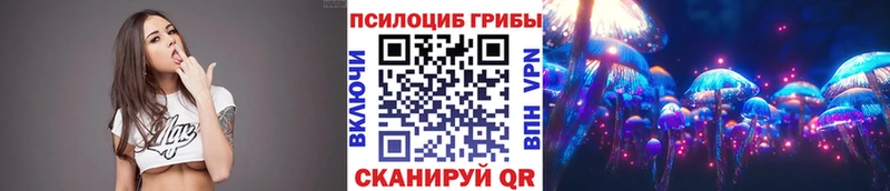 купить закладку  Новосибирск  Галлюциногенные грибы прущие грибы 
